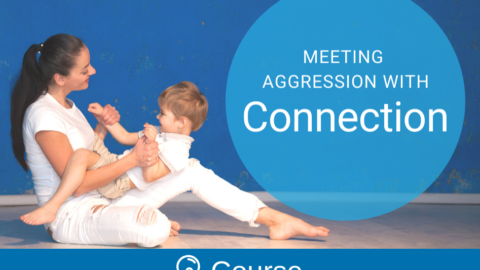 Meeting Aggression with Connection